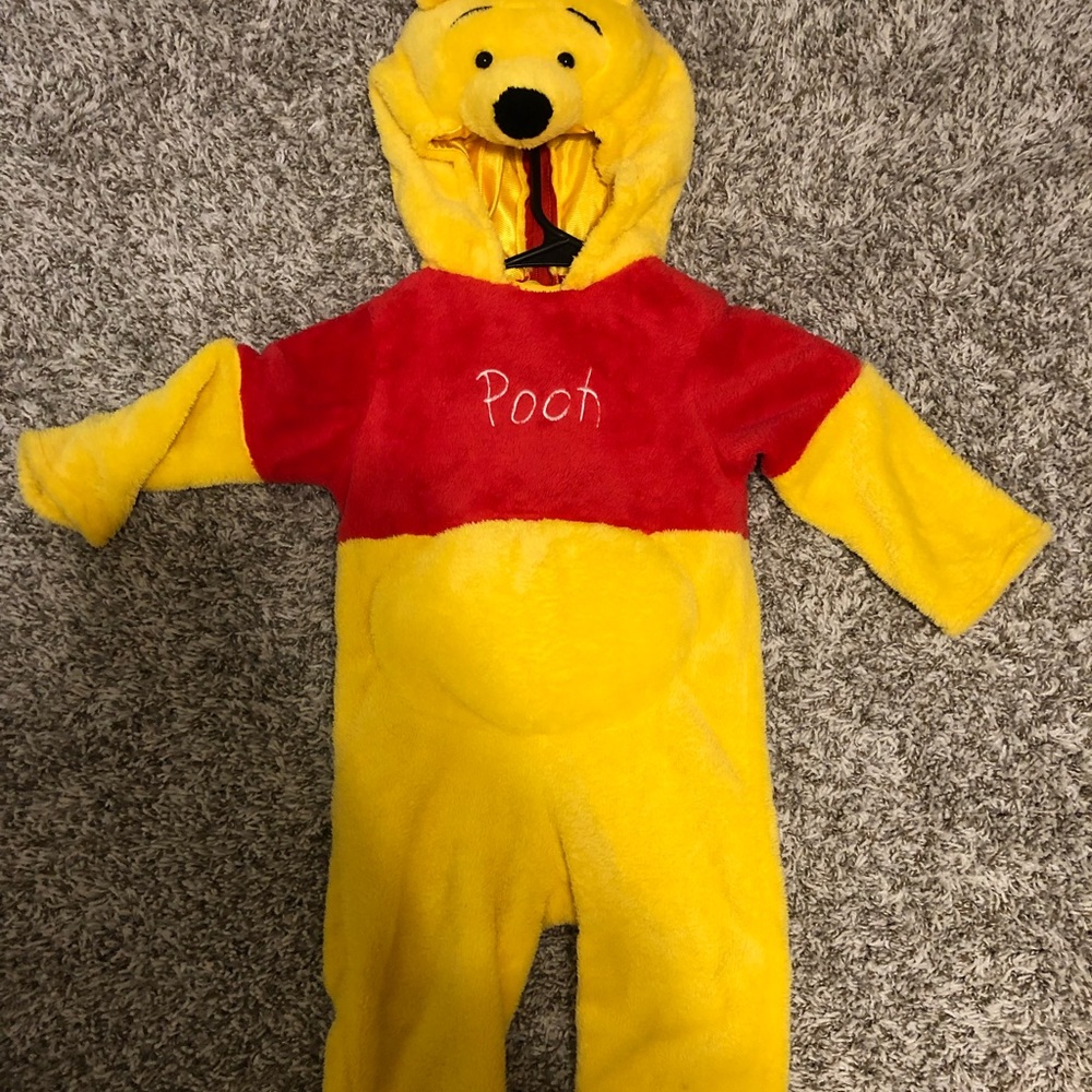 Disney Winnie the Pooh costume
